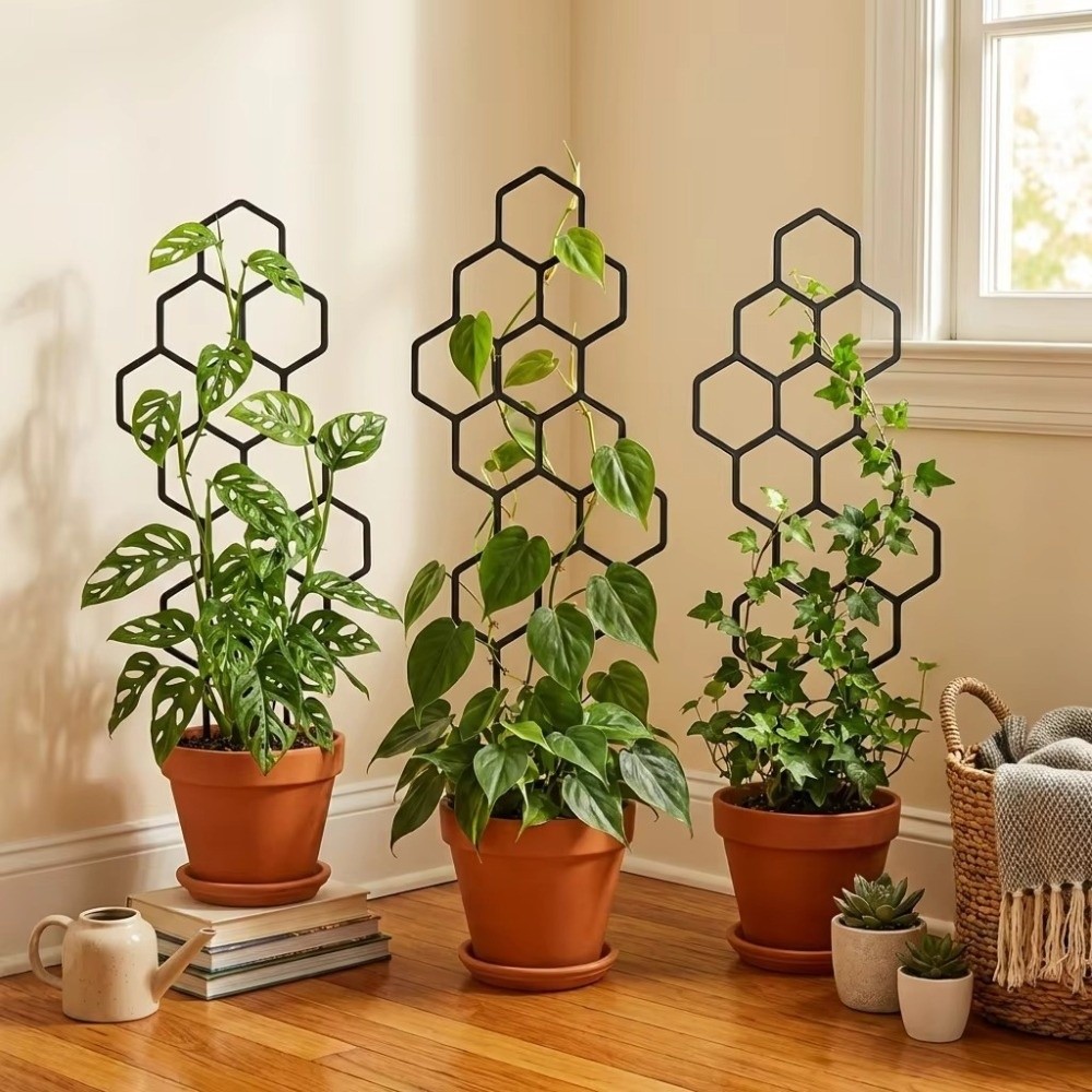 Honeycomb Design Plant Trellis - Sphagnum Moss Dry ulasan dan harga