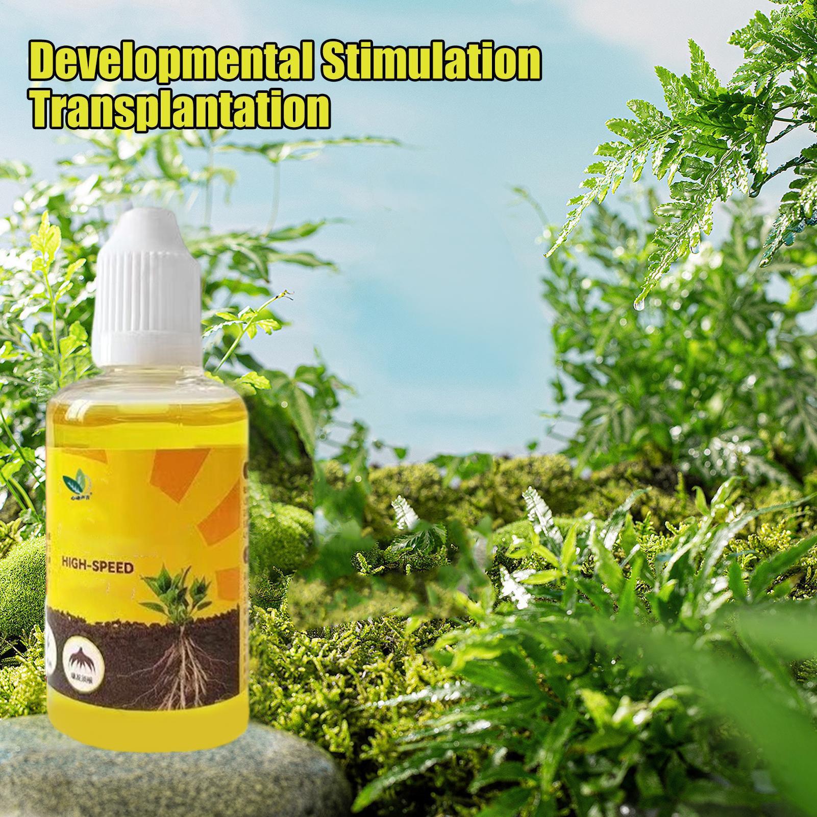Plant Rooting Stimulator Liqui - Root Stimulator Liquid ulasan dan harga