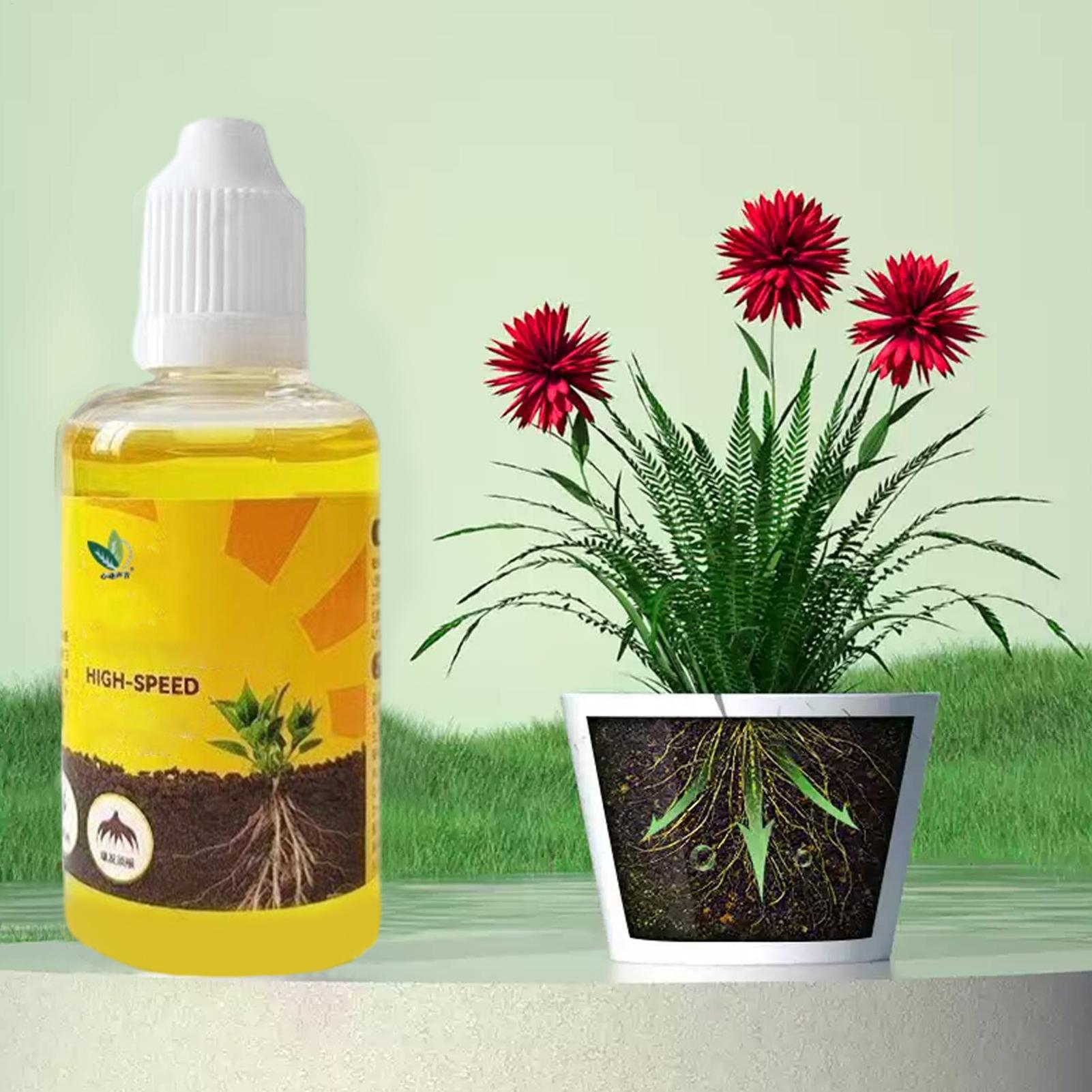Plant Rooting Stimulator Liqui - Root Stimulator Liquid ulasan dan harga