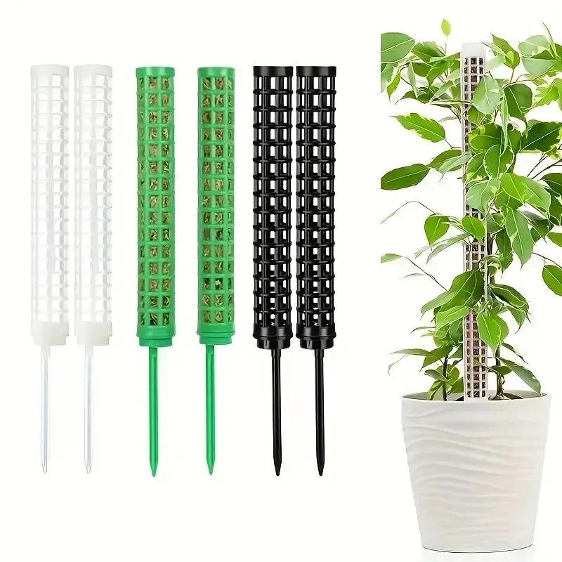 Plastic Moss Poles, Plant Stak - Sphagnum Moss Dry ulasan dan harga