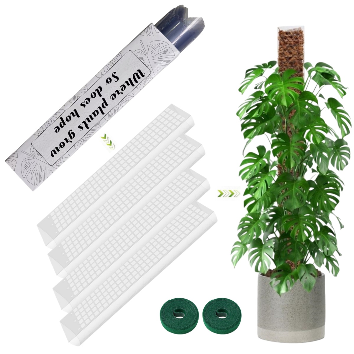 Moss Pole Plastic Plant Stand  - Sphagnum Moss Dry ulasan dan harga