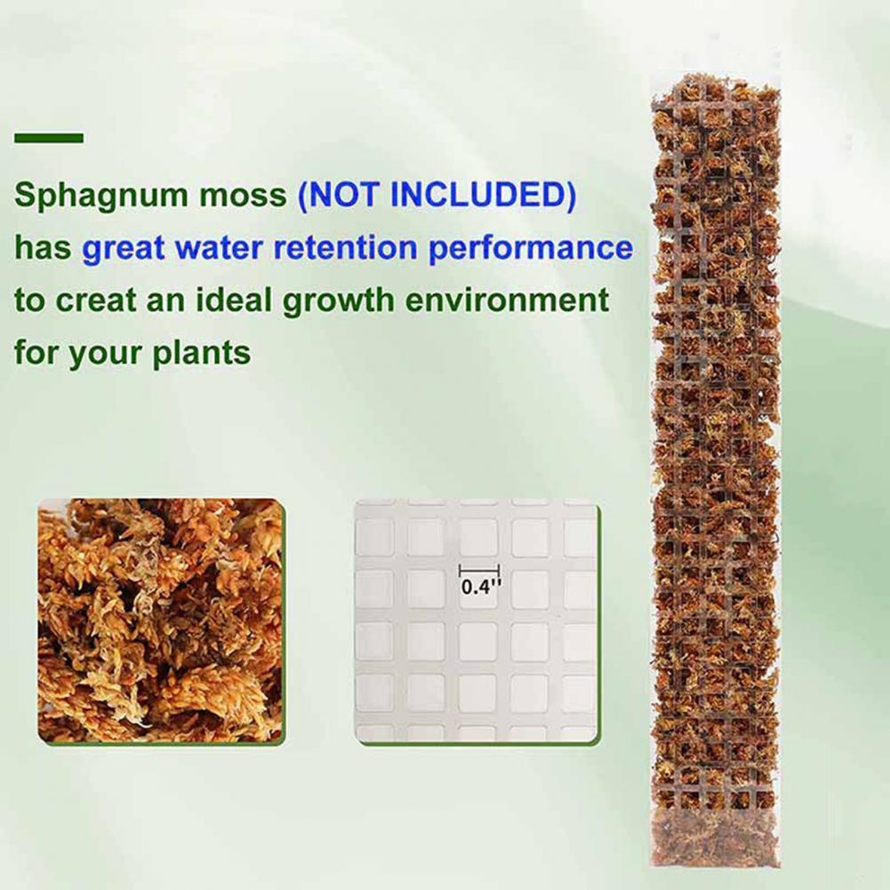Climbing Plants Moss Pole Aeri - Sphagnum Moss Dry ulasan dan harga