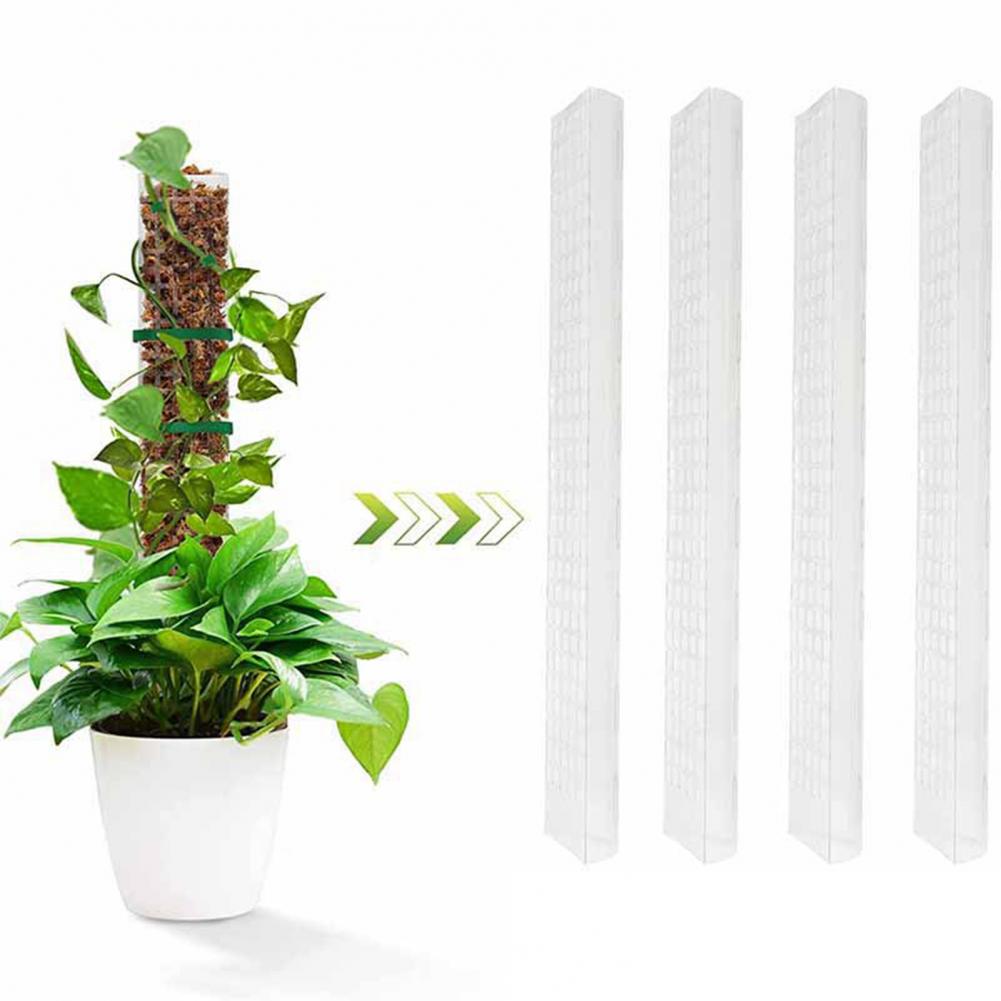 Climbing Plants Moss Pole Aeri - Sphagnum Moss Dry ulasan dan harga