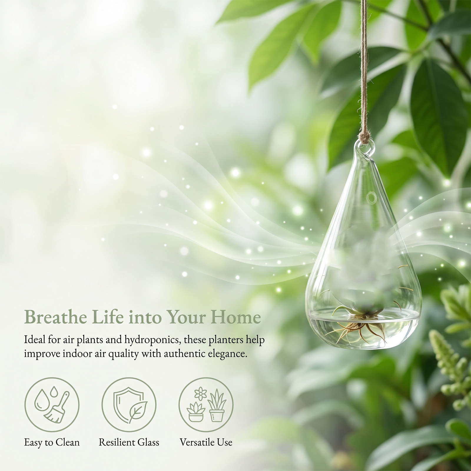 4Pcs Glass Hanging Planters Hy - Propagation Station Vase ulasan dan harga