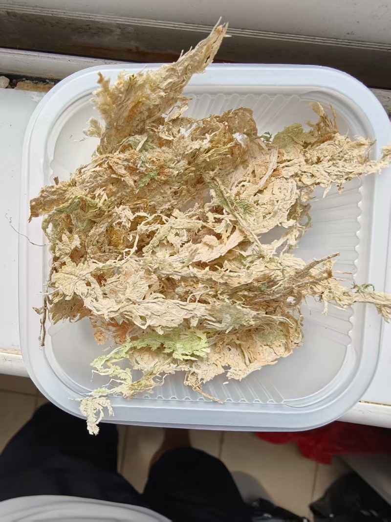 Premium Sphagnum Moss for Orch - Sphagnum Moss Dry ulasan dan harga